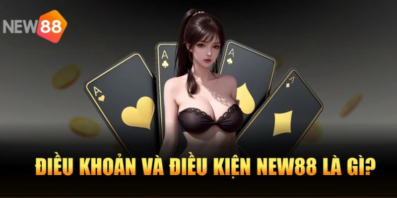 Tổng quan về điều khoản và điều kiện có tại New88